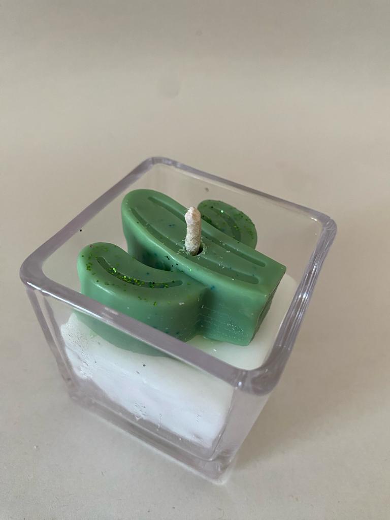 Cactosa