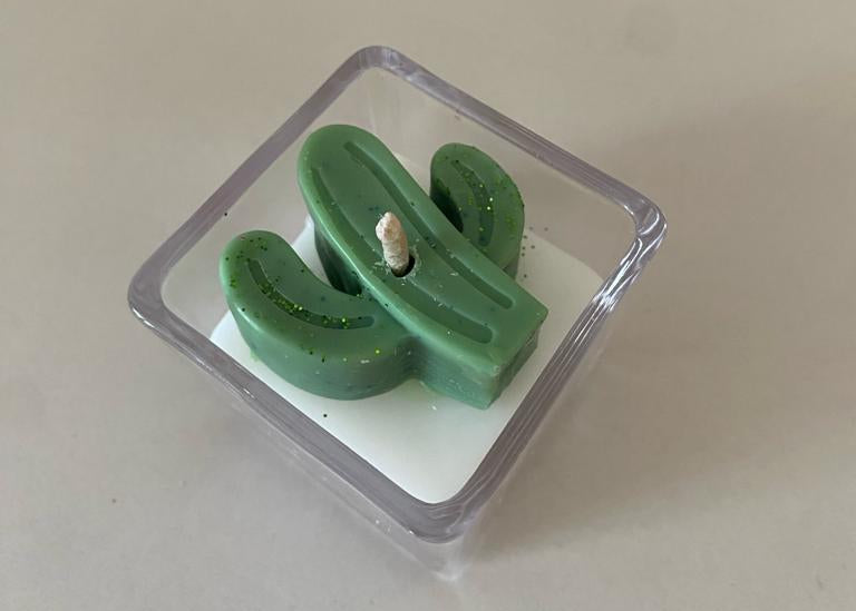 Cactosa